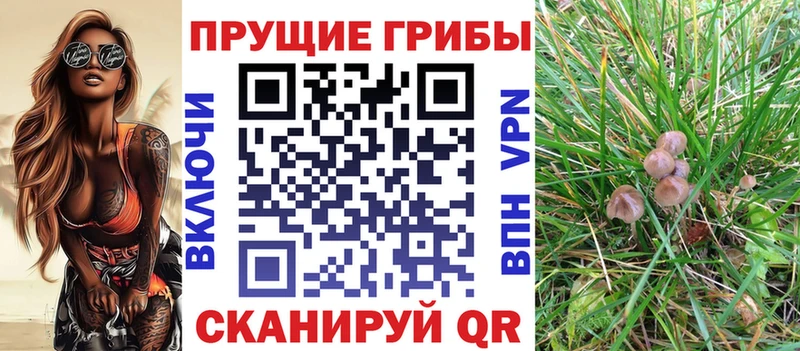 где купить наркотик  Екатеринбург  Галлюциногенные грибы GOLDEN TEACHER 